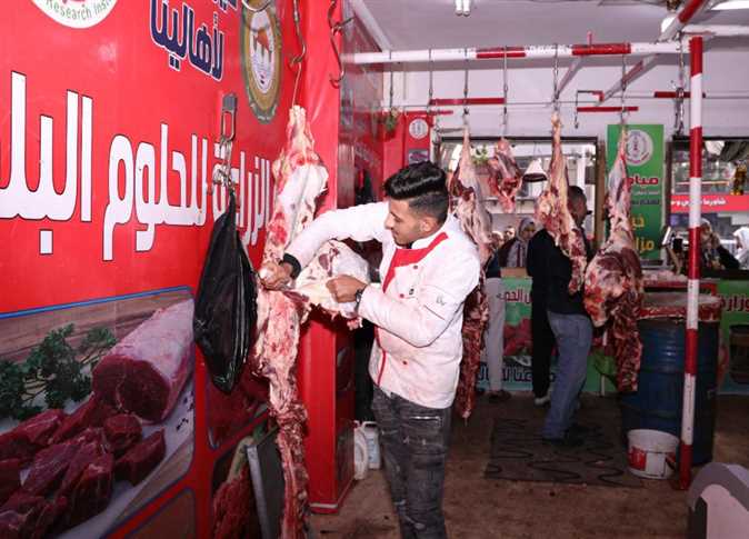 اسعار الاضاحي بنمنافذ وزارة الزراعة